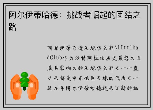 阿尔伊蒂哈德：挑战者崛起的团结之路