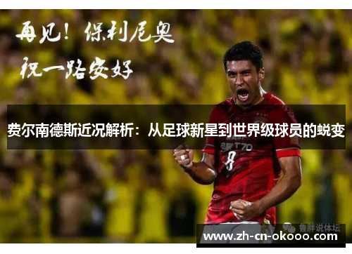 费尔南德斯近况解析：从足球新星到世界级球员的蜕变