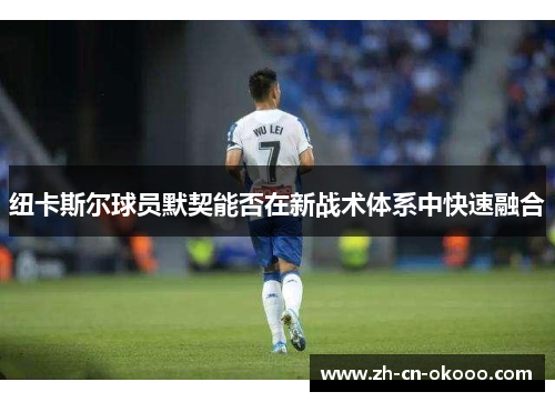 纽卡斯尔球员默契能否在新战术体系中快速融合 纽卡斯尔球员默契能否在新战术体系中快速融合